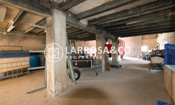 A Vendre - Industrial Field - Benejúzar - Comunidad valenciana