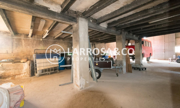 A Vendre - Industrial Field - Benejúzar - Comunidad valenciana