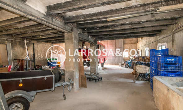 A Vendre - Industrial Field - Benejúzar - Comunidad valenciana