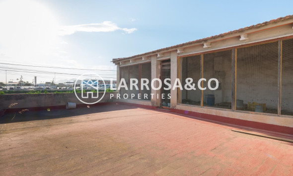 A Vendre - Industrial Field - Benejúzar - Comunidad valenciana