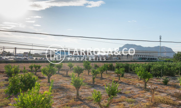 A Vendre - Industrial Field - Benejúzar - Comunidad valenciana
