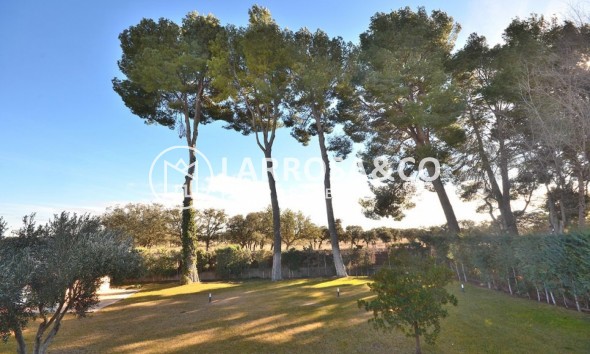 Вторичный рынок - Дом - Albacete - Agua sol