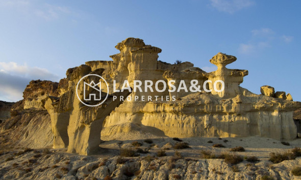 New build - Detached House/Villa - Fuente Álamo - La Pinilla