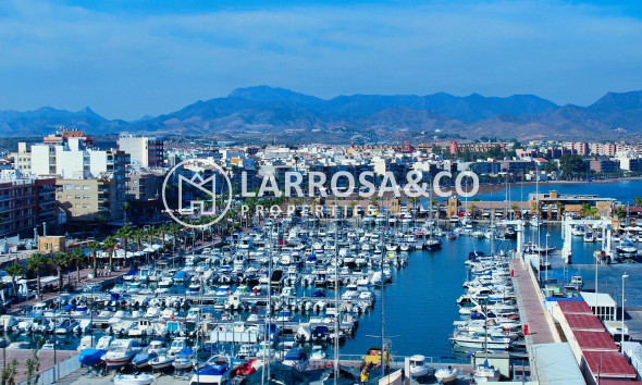 New build - Detached House/Villa - Fuente Álamo - La Pinilla