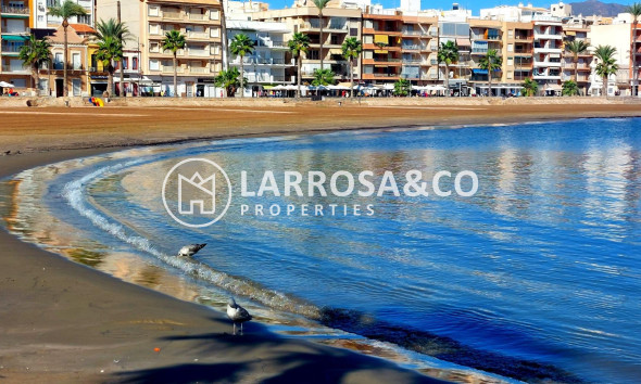 New build - Detached House/Villa - Fuente Álamo - La Pinilla