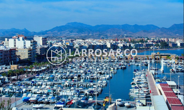 New build - Semi-detached house - Fuente Álamo - La Pinilla