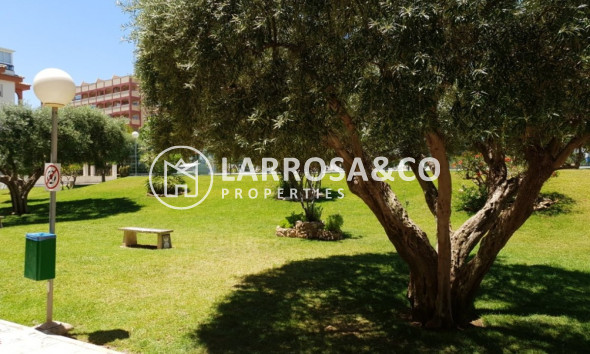 A Vendre - Apartment - Torrevieja - La Mata