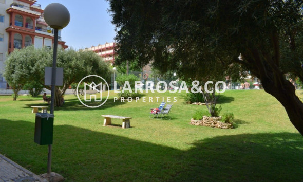 A Vendre - Apartment - Torrevieja - La Mata
