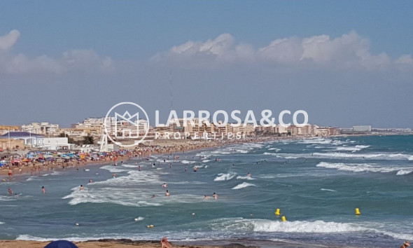 A Vendre - Apartment - Torrevieja - La Mata