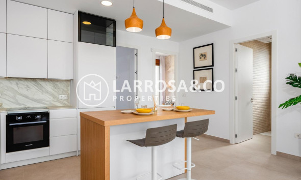 New build - Detached House/Villa - Vera - Vera playa