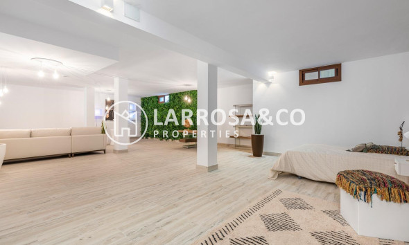 New build - Detached House/Villa - Vera - Vera playa