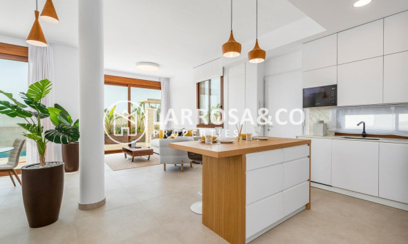 New build - Detached House/Villa - Vera - Vera playa