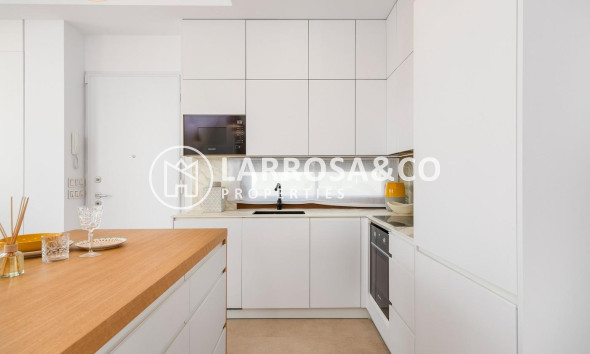 New build - Detached House/Villa - Vera - Vera playa