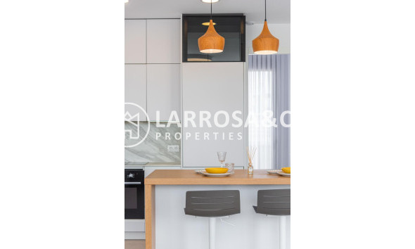 New build - Detached House/Villa - Vera - Vera playa