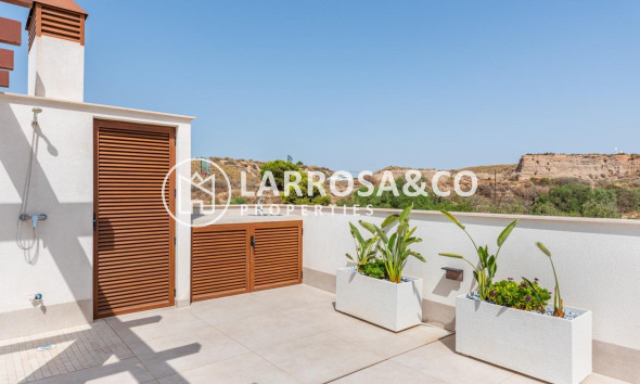 New build - Detached House/Villa - Vera - Vera playa