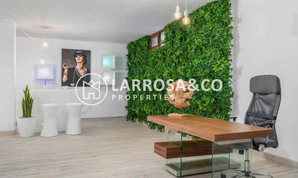 New build - Detached House/Villa - Vera - Vera playa