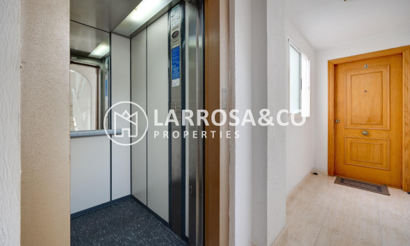 A Vendre - Penthouse  - Torrevieja - Playa del cura