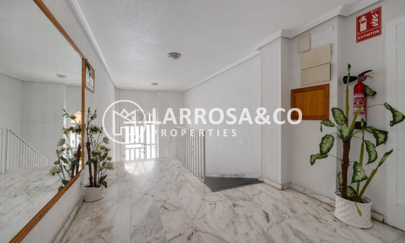 A Vendre - Penthouse  - Torrevieja - Playa del cura