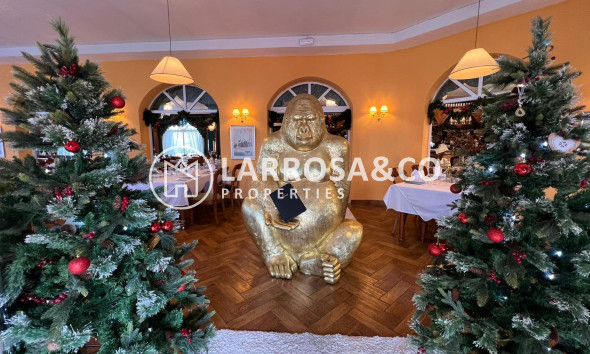 A Vendre - Business - Ciudad Quesada - Lo pepin