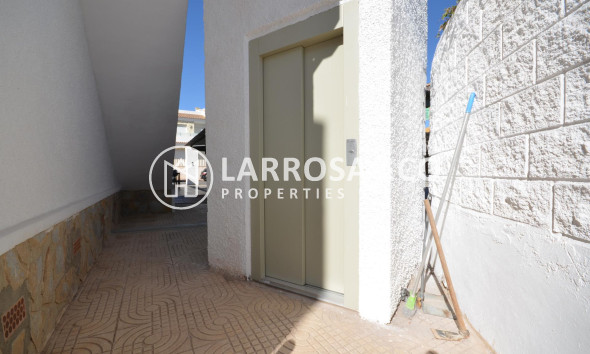 A Vendre - Business - Ciudad Quesada - Lo pepin