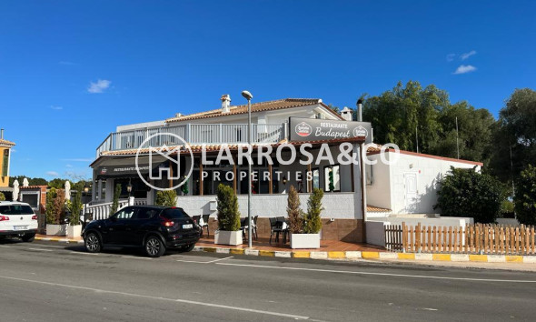 A Vendre - Business - Ciudad Quesada - Lo pepin