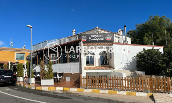 A Vendre - Business - Ciudad Quesada - Lo pepin