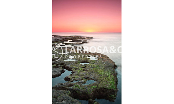 Nouvelle Construction - Bungalow - Torrevieja - Altos del Sol