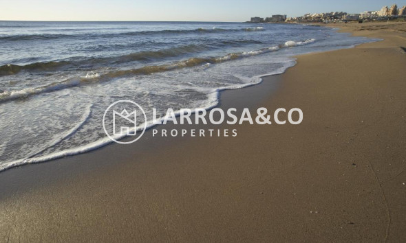 Nouvelle Construction - Bungalow - Torrevieja - Altos del Sol