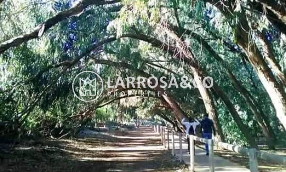 Nouvelle Construction - Bungalow - Torrevieja - Altos del Sol