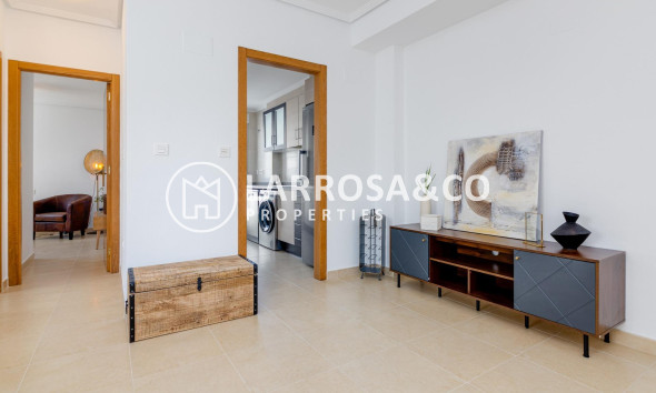 New build - Detached House/Villa - San Fulgencio - El Oasis