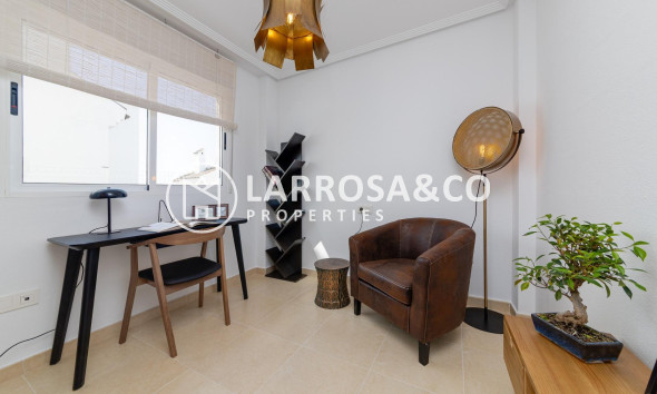 New build - Detached House/Villa - San Fulgencio - El Oasis