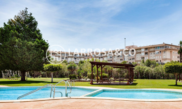 Reventa - Bungalow - Torrevieja - Parque de las Naciones