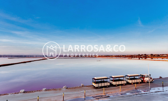 Reventa - Bungalow - Torrevieja - Parque de las Naciones