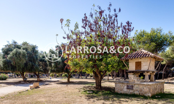 Reventa - Apartamento - Torrevieja - Acequion