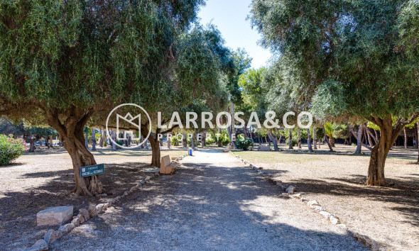 Reventa - Apartamento - Torrevieja - Acequion