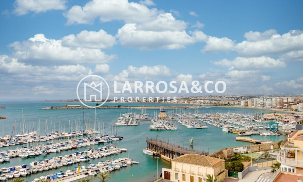 Reventa - Apartamento - Torrevieja - Acequion