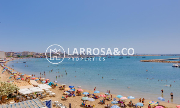 Reventa - Apartamento - Torrevieja - Acequion