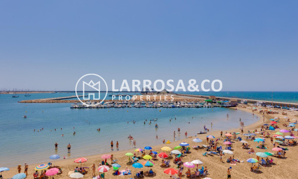 Reventa - Apartamento - Torrevieja - Acequion