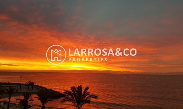 A Vendre - Apartment - Torrevieja - Playa del cura