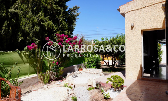 Вторичный рынок - Дом - Сьюдад Кесада - Ciudad Quesada