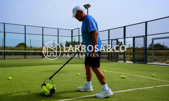 New build - Detached House/Villa - Almoradí - Las Heredades