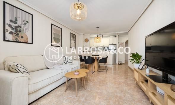 Вторичный рынок - Квартира - Торревьеха - Centro