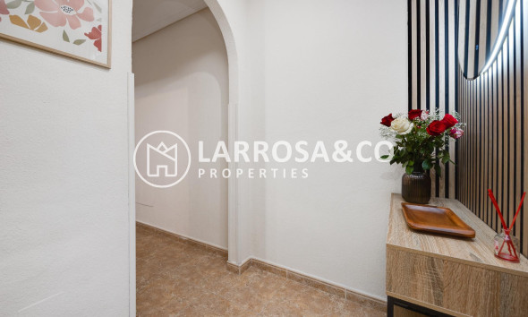 Вторичный рынок - Квартира - Торревьеха - Centro