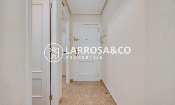 Вторичный рынок - Квартира - Торревьеха - Centro