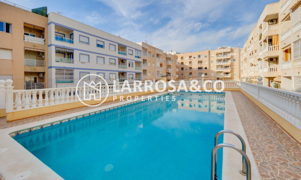 Вторичный рынок - Квартира - Торревьеха - Centro