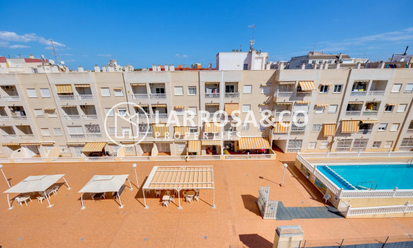 Вторичный рынок - Квартира - Торревьеха - Centro