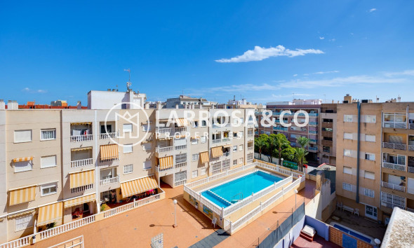 Вторичный рынок - Квартира - Торревьеха - Centro