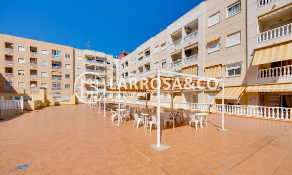 Вторичный рынок - Квартира - Торревьеха - Centro