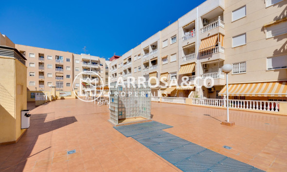 Вторичный рынок - Квартира - Торревьеха - Centro