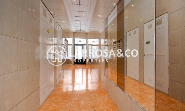 Вторичный рынок - Квартира - Торревьеха - Centro